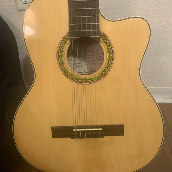 Electro/Acoustic Guitar Palmer - Picture 2 of 7